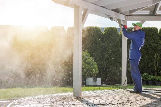 Best Soft Washing  in Carlisle, IA